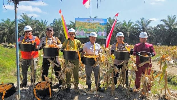 Polres Inhu, Panen Raya Jagung, Ketahanan Pangan, Kecamatan Lirik, PT Gandaerah Hendana, Indragiri Hulu, Program Pertanian