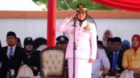 Bupati Gowa, Sitti Husniah Talenrang