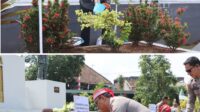 Alumni Akpol 90 menanam puluhan pohon di Monumen Palagan Ambarawa