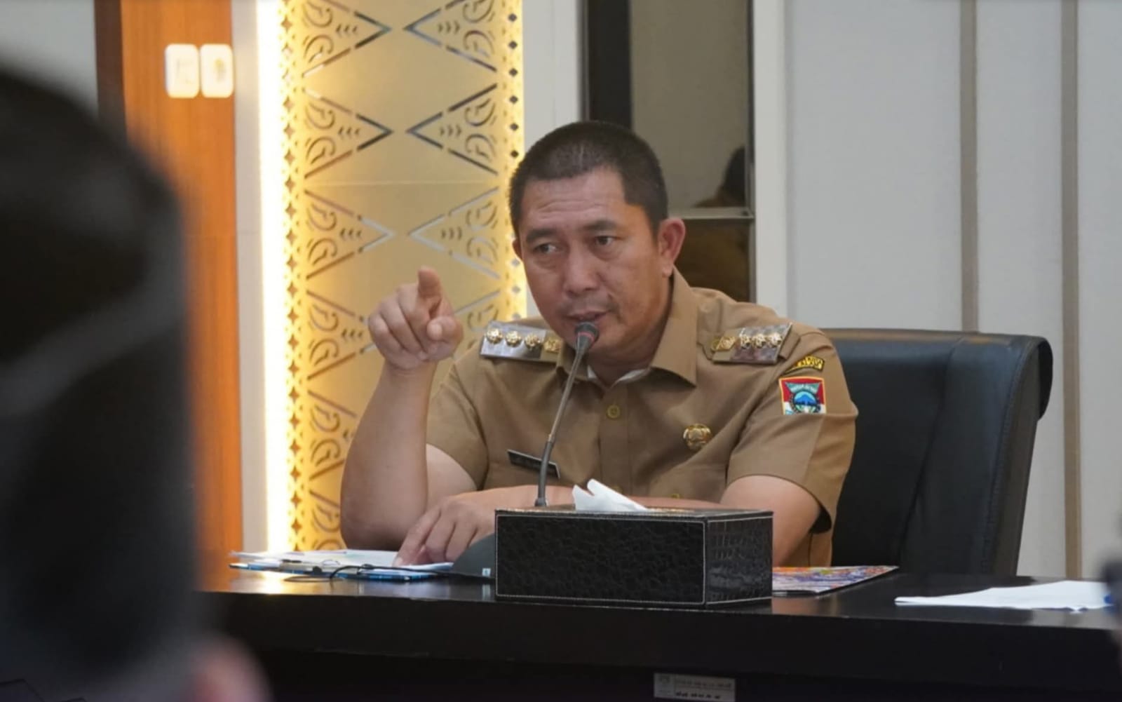 Wali Kota Ludi Oliansyah