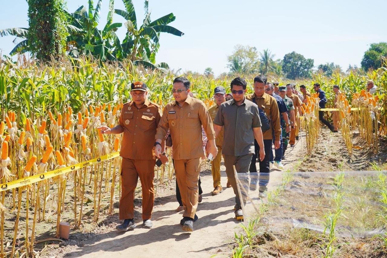 Wabup Gowa Dorong Inovasi Tingkatkan Produksi Jagung