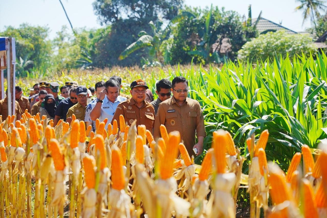Wabup Gowa Dorong Inovasi Tingkatkan Produksi Jagung
