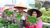 Kapolda Kalteng dan Bhayangkari Panen Sayur Dukung Pangan Panen Sayur di Pekarangan Pangan Lestari Polda Kalteng