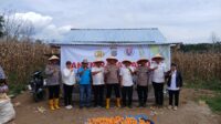 Panen Raya Perkuat Ekonomi Petani dan Stok Pangan Nasional