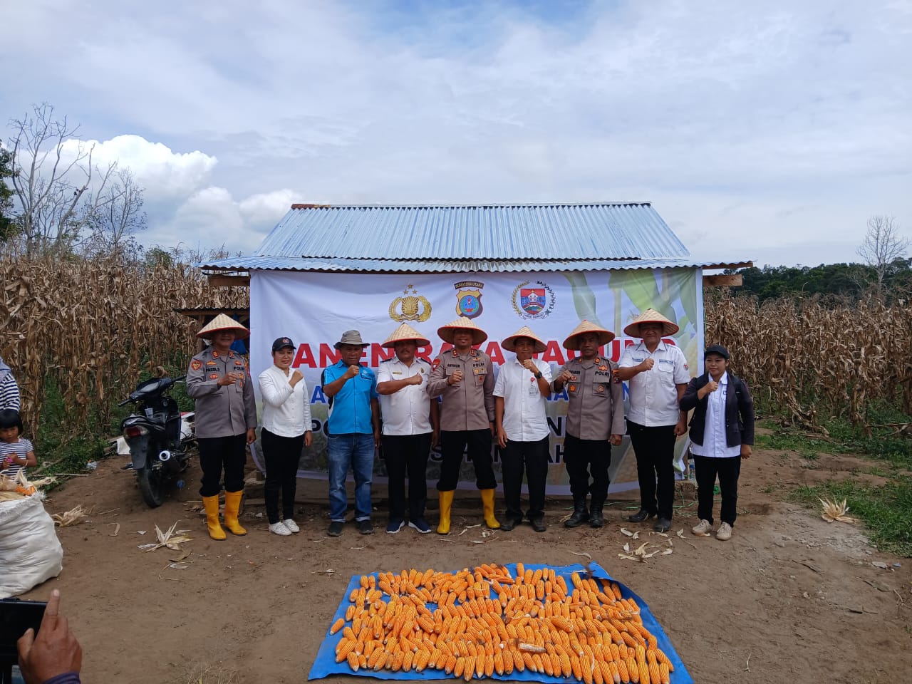 Panen Raya Perkuat Ekonomi Petani dan Stok Pangan Nasional