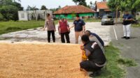Kapolsek Majalengka Kota IPTU Piki Krismanto mendampingi Bulog menyerap hasil panen jagung di Kecamatan Majalengka.