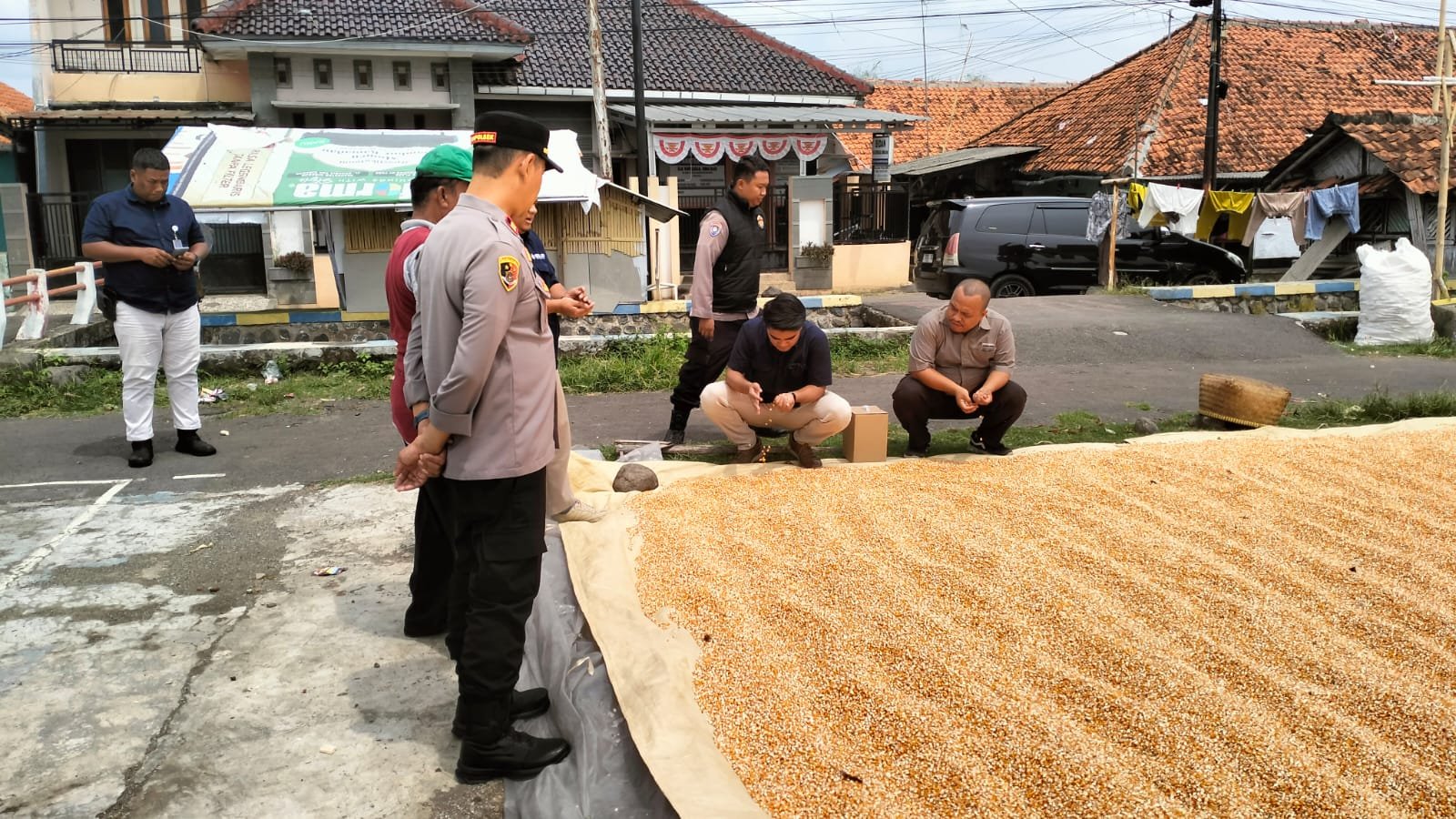 Bulog Serap Lebih dari 2 Ton Jagung di Kelurahan Tonjong