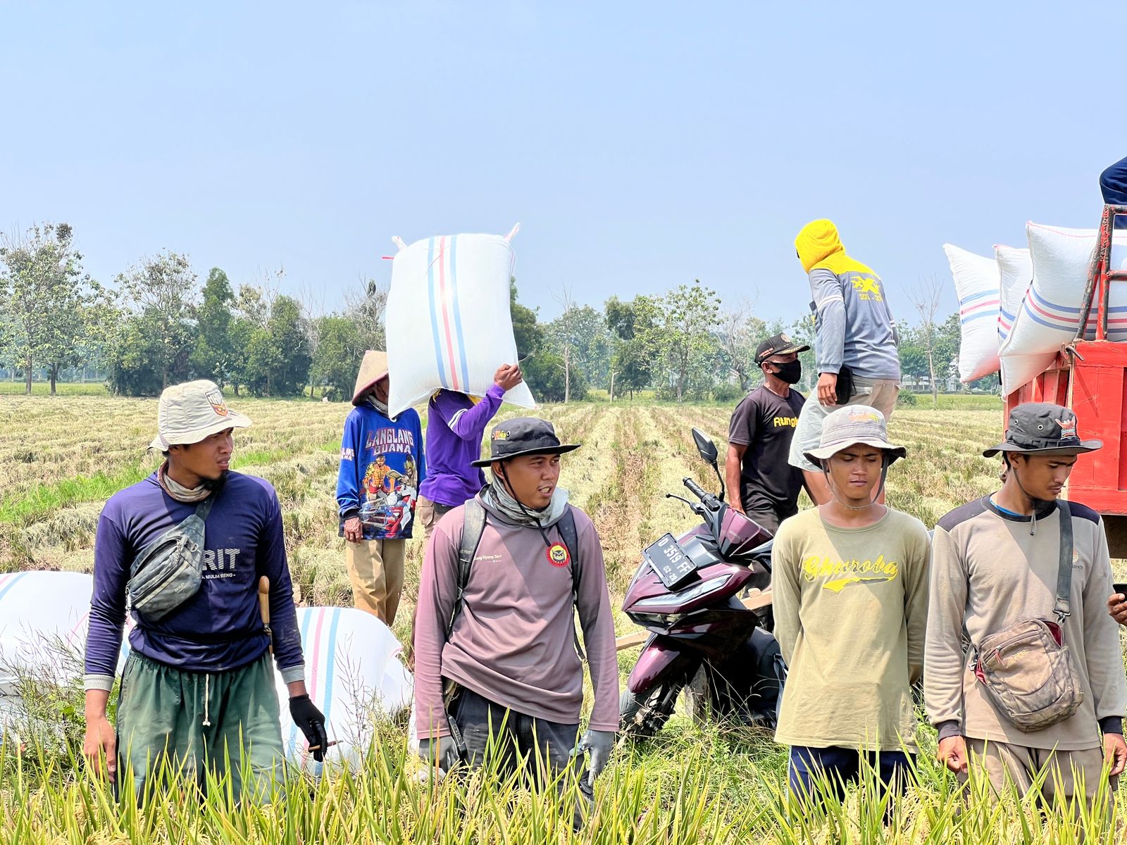 Direktur Idensos Densus 88 tinjau pertanian di PT Sang Hyang Seri Direktur Idensos Densus 88 tinjau pertanian di PT Sang Hyang Seri