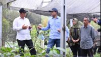 Wali Kota Pagar Alam Ludi Oliansyah bersama Kepala Kantor OJK Sumsel Arifin Susanto meninjau kebun kopi Raden Kuning milik warga Dusun Langor,
