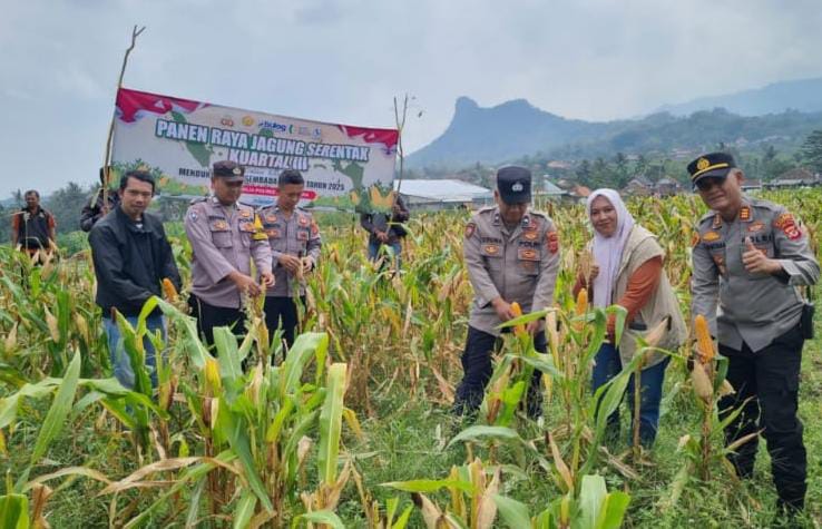 Kapolsek Maja AKP Aas Guntara hadiri panen raya jagung serentak kuartal III di Kecamatan Maja