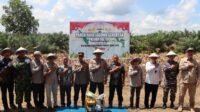 Polres Ketapang menggelar Panen Raya Jagung Serentak Kuartal III di Air Upas serta Gerakan Pangan Murah bersama Bulog