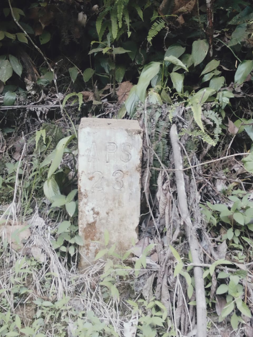 Masyarakat adat Dayak menuntut lahan dikembalikan karena dianggap perampasan tanah ulayat.