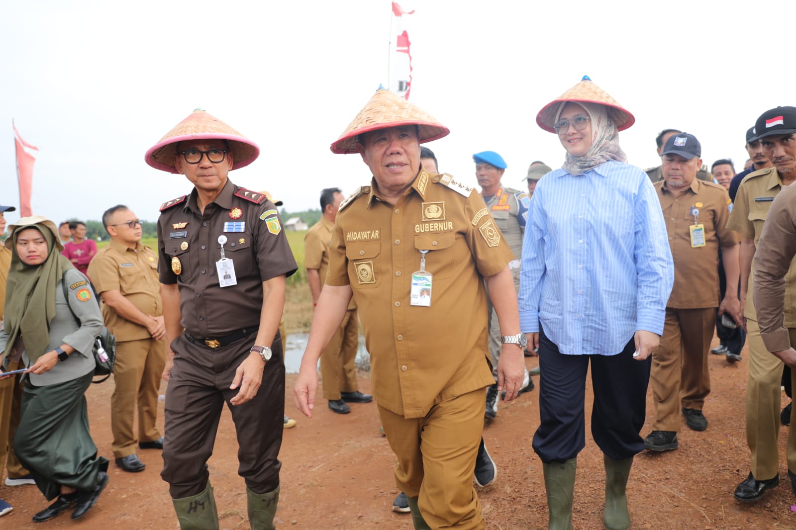 Gubernur Babel Hidayat Arsani menghadiri Panen Raya Lisum Sejahtera di Desa Bukit Terap, Bangka Selatan.