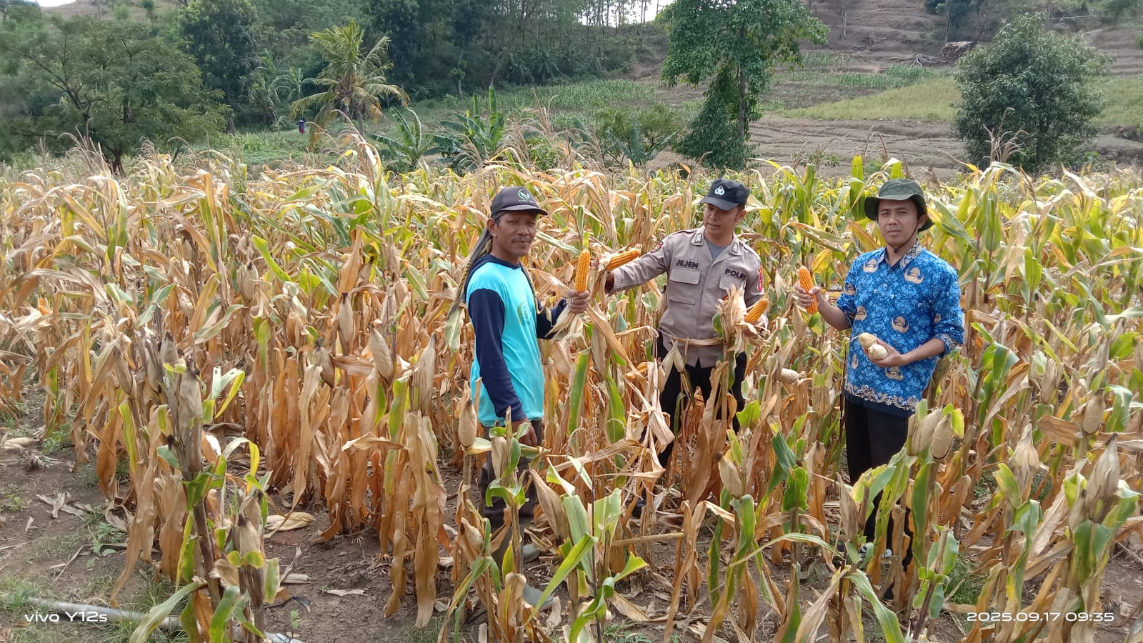 Polsek Majalengka Kota memantau panen jagung kuartal III di Desa Cibodas. Hasil panen mencapai 1.000 kg dan diupayakan terserap Bulog.