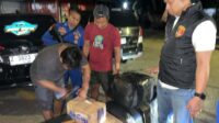 Korpolairud Baharkam Polri gagalkan penyelundupan 50 ribu benih lobster ilegal di Cianjur.