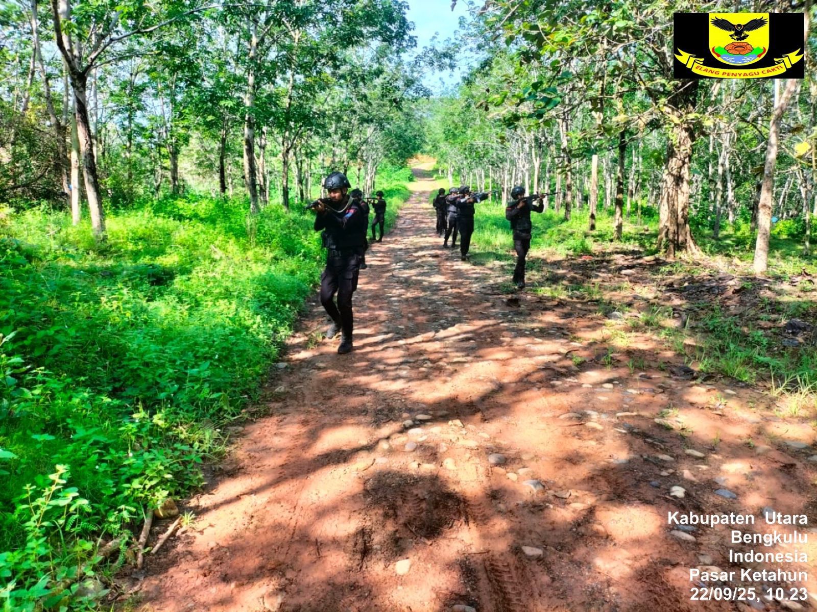 Latihan Patroli Tempur Tingkatkan Kesiapan Brimob Bengkulu