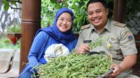 Kelurahan Grogol Selatan, Kebayoran Lama, memanen lima kilogram kacang edamame di Kebun Keyla 5.