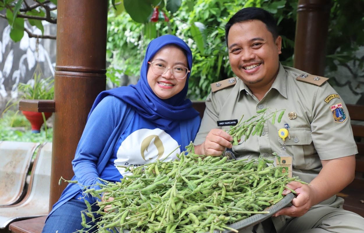 Kelurahan Grogol Selatan, Kebayoran Lama, memanen lima kilogram kacang edamame di Kebun Keyla 5.