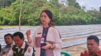 Wakil Bupati Humbahas Junita Rebeka Marbun bersama tim Kementan dan PUPR