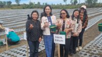 Junita Rebeka Marbun pertanian dan UMKM Humbang Hasundutan