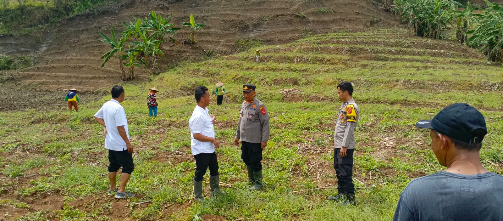 Polsek Bantarujeg Polres Majalengka melaksanakan penanaman jagung bersama Forkopimcam dan warga