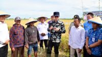 Bupati Egi apresiasi panen perdana padi biosalin di Sragi.