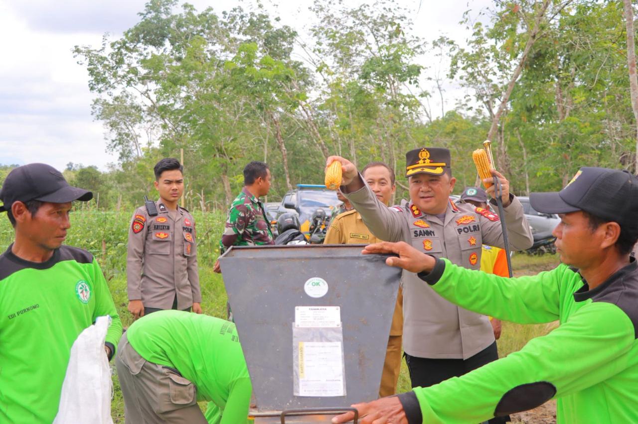 Polres Sintang menggelar panen raya jagung kuartal IV di Desa Gurung Kempadik sebagai bagian dari program Asta Cita