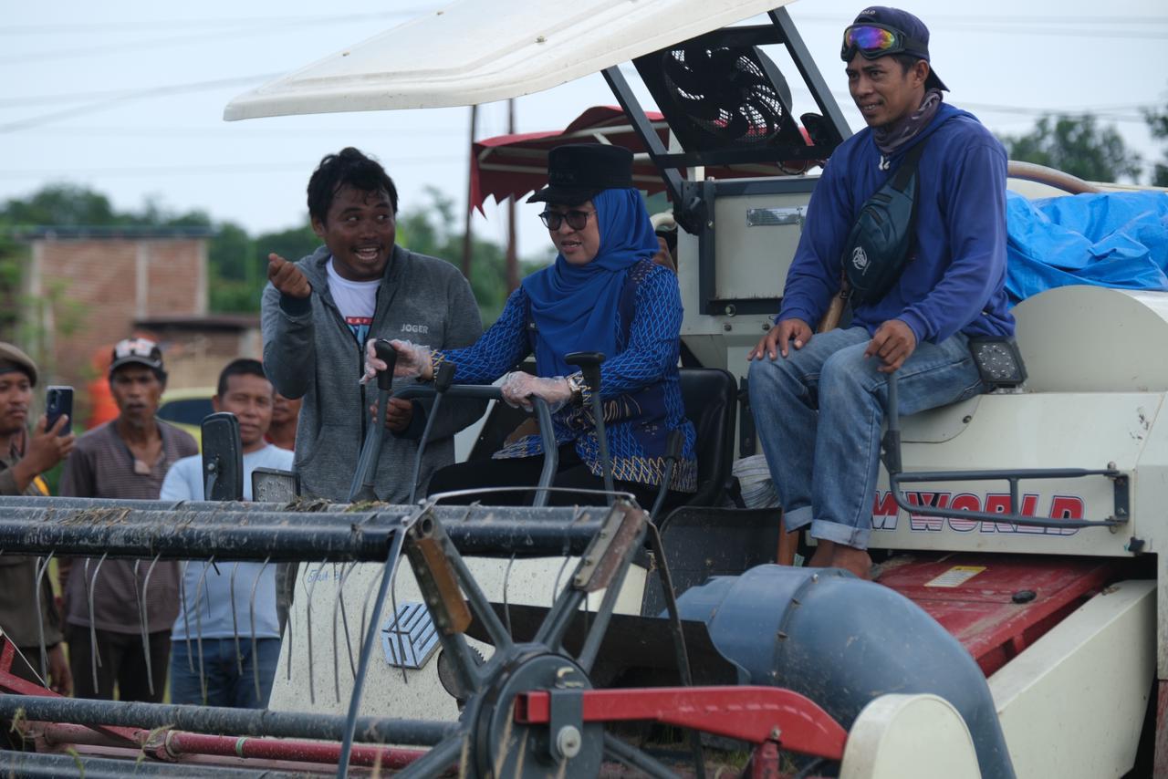 kegiatan Panen Raya Padi yang digelar di Desa Romanglasa, Kecamatan Bontonompo, Jumat (28/11).