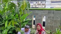 IMG 20251229 WA0029