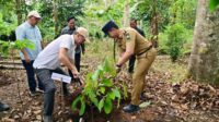 Menko Bidang Pangan RI, Zulkifli Hasan dan Bupati Lampung Selatan Radityo Egi Pratama melakukan penanaman simbolis bibit kopi dan kakao