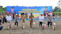 Menko Pangan Zulkifli Hasan dan Wakapolri Dedi Prasetyo menanam jagung di Lampung Selatan