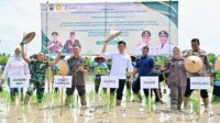 Pemkab Lampung Selatan dan Kejati Lampung memperluas budidaya padi biosalin di Sragi sebagai langkah memperkuat ketahanan pangan