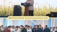 IMG 20260109 WA0016