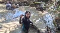 IMG 20260123 WA0027