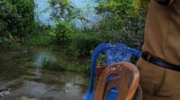IMG 20260129 WA0004