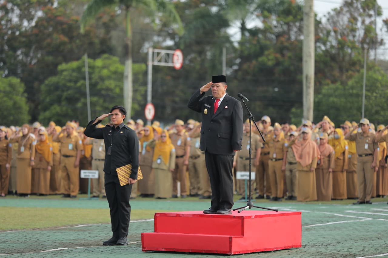 WhatsApp Image 2026 01 19 at 11.51.20