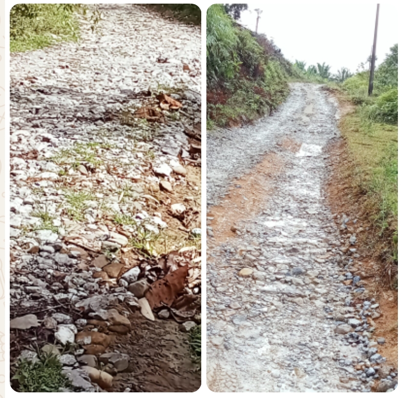 Screenshot 2026 02 06 17 55 40 47 6012fa4d4ddec268fc5c7112cbb265e7