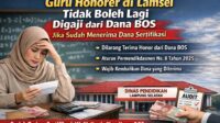 IMG 20260303 WA0011