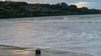 IMG 20260305 WA0055