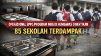 IMG 20260310 WA0002