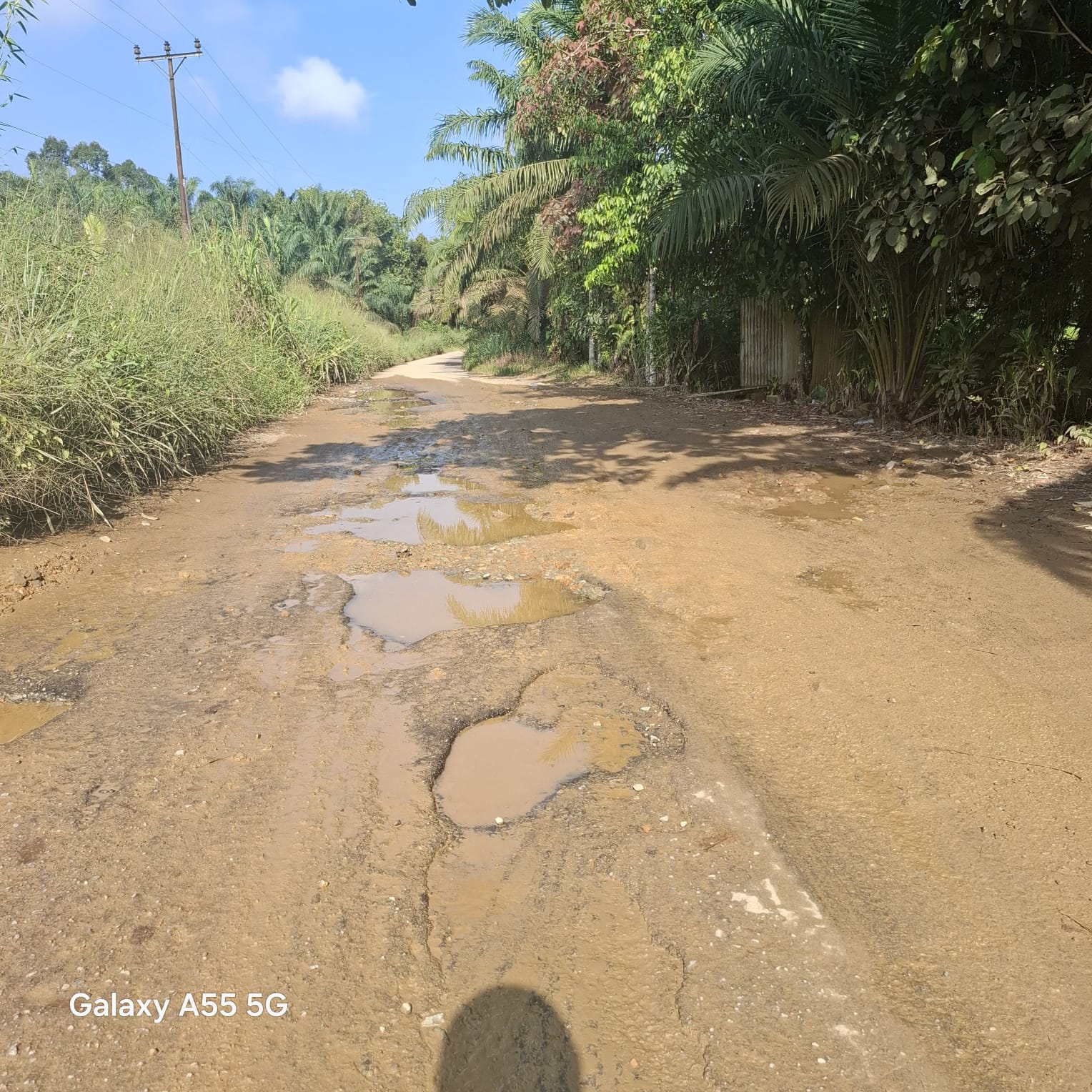 WhatsApp Image 2026 04 15 at 10.08.42