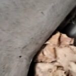 Pembangunan saluran drainase di Jalan Joglo Raya, Kecamatan Kembangan, Jakarta Barat, yang dikerjakan PT Sinergi Cipta Presisi.